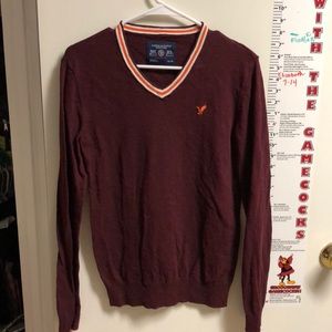 Men’s v-neck sweater